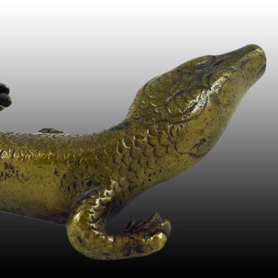 Toraja bronze lizard