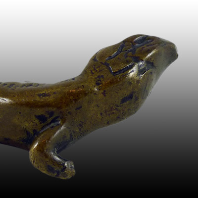 Toraja bronze salamander
